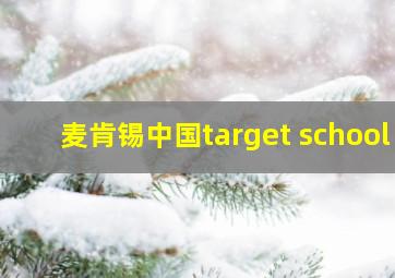 麦肯锡中国target school